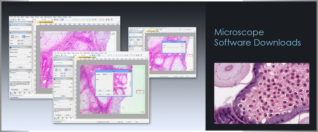 microscope software free download